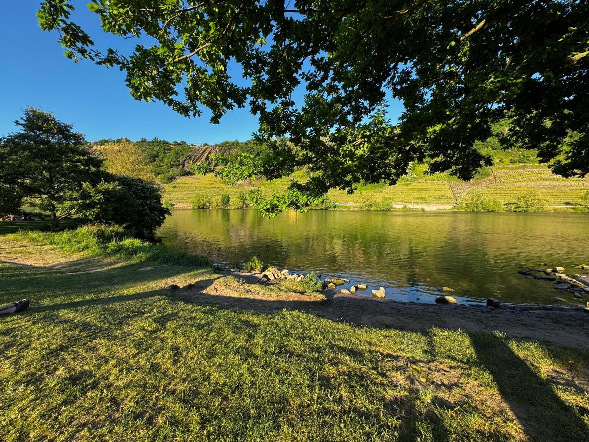 Ferienhaus Ufergeheimnis Am Guelser Moselbogen I 2 Sz I 5 Gaeste I Badebucht I Grill I Garten Koblenz (Rhineland-Palatinate) Exteriör bild